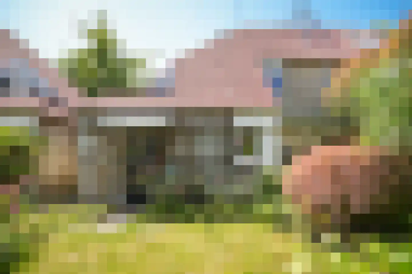 Ganzenbord 8 Beneden-Leeuwen thumbnail 28