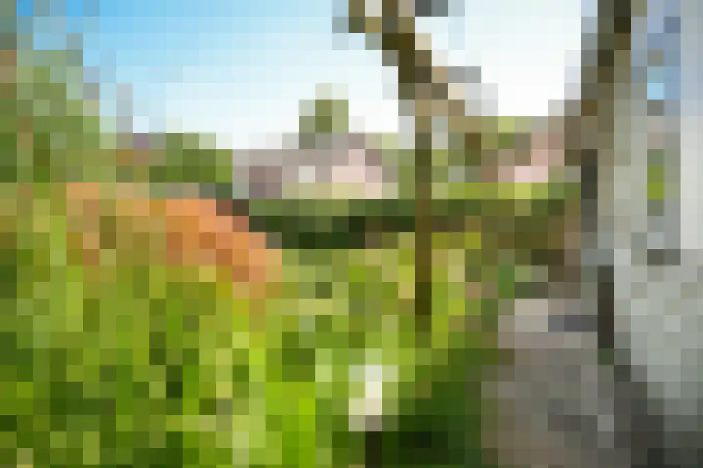 Ganzenbord 8 Beneden-Leeuwen thumbnail 29