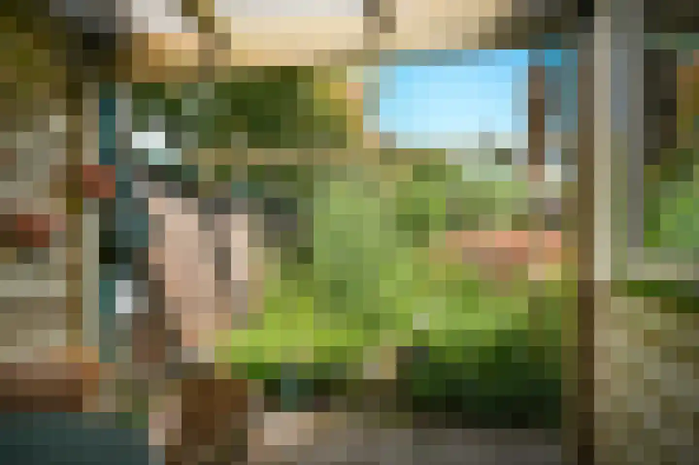 Ganzenbord 8 Beneden-Leeuwen thumbnail 30