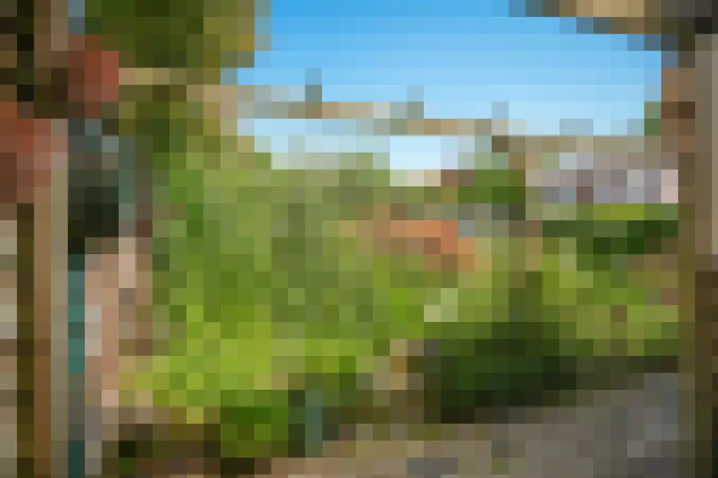 Ganzenbord 8 Beneden-Leeuwen thumbnail 31