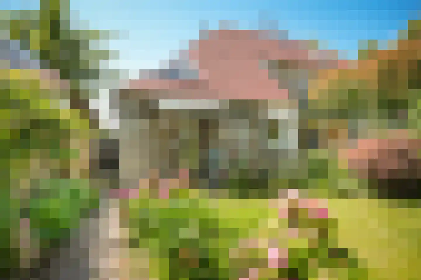 Ganzenbord 8 Beneden-Leeuwen thumbnail 33