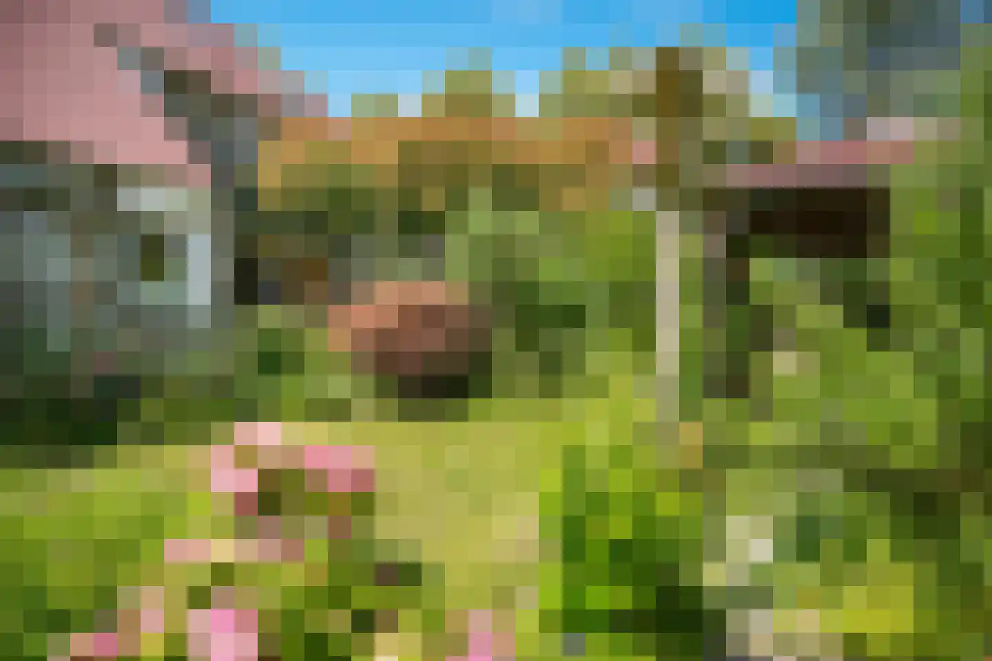 Ganzenbord 8 Beneden-Leeuwen thumbnail 34