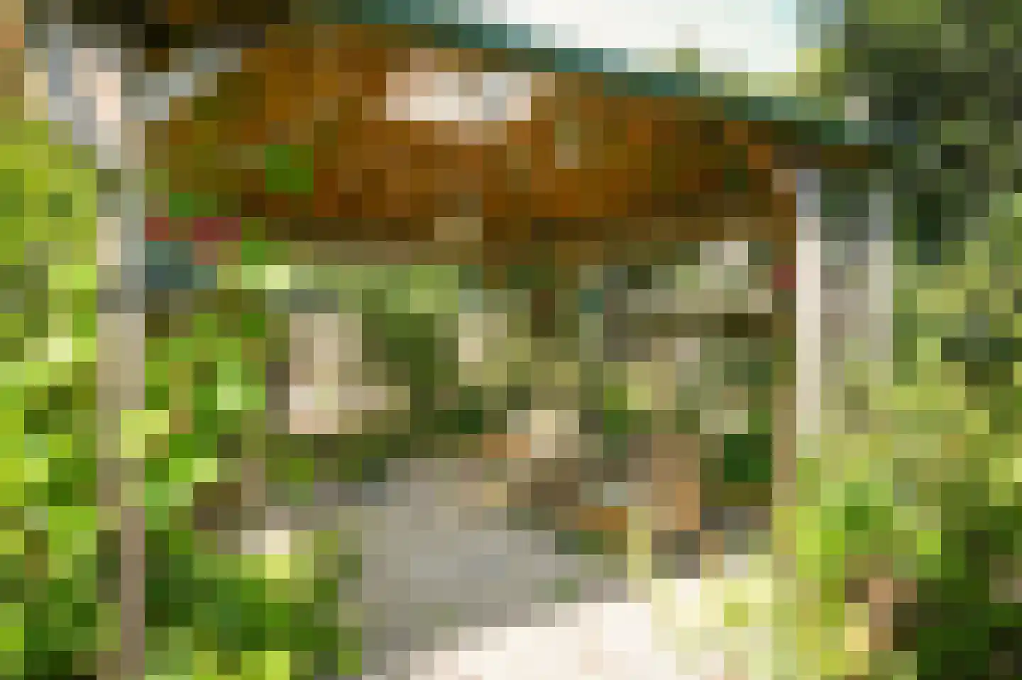 Ganzenbord 8 Beneden-Leeuwen thumbnail 35