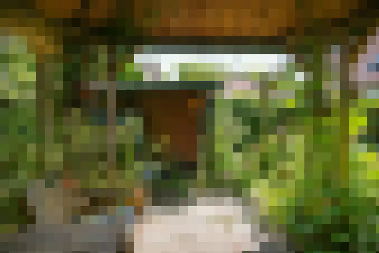 Ganzenbord 8 Beneden-Leeuwen thumbnail 36