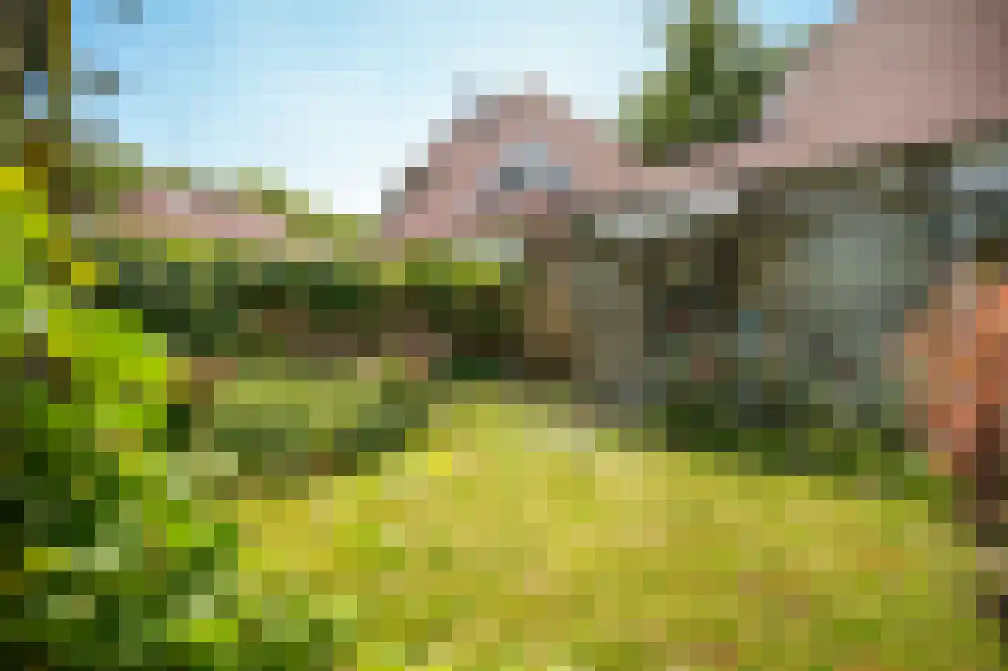 Ganzenbord 8 Beneden-Leeuwen thumbnail 37