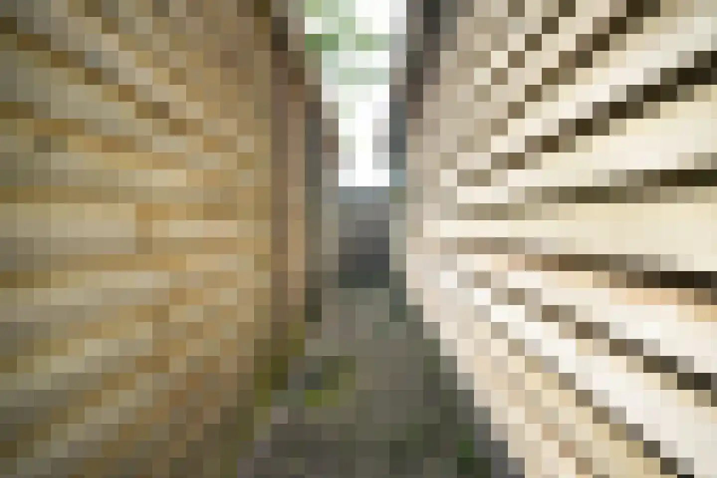 Ganzenbord 8 Beneden-Leeuwen thumbnail 38