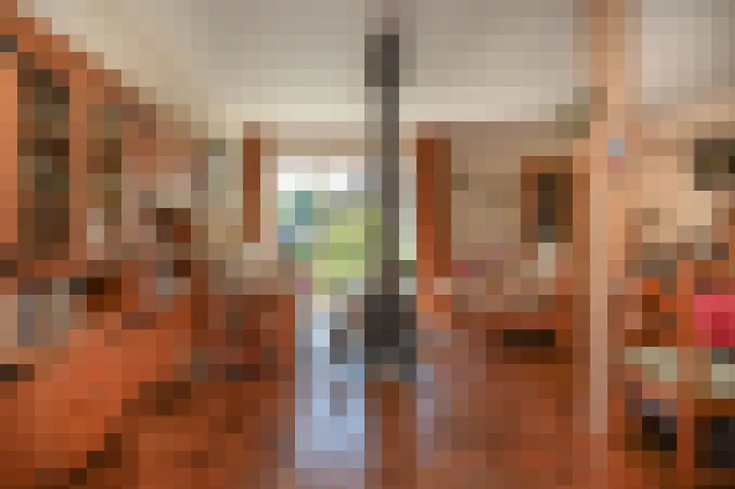 Ganzenbord 8 Beneden-Leeuwen thumbnail 4