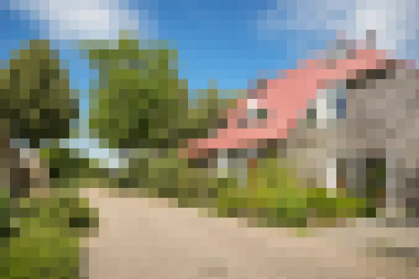 Ganzenbord 8 Beneden-Leeuwen thumbnail 40