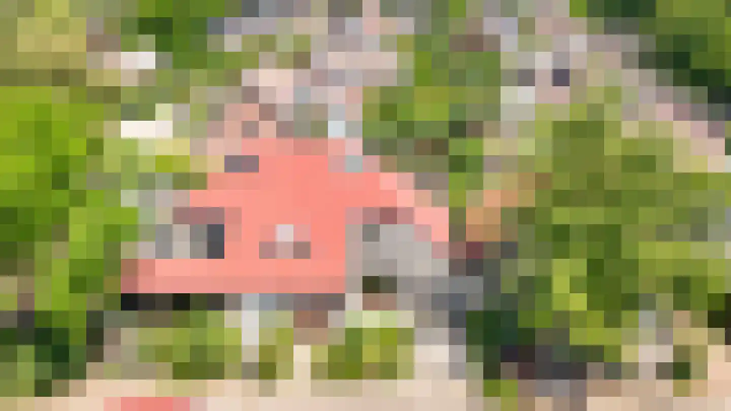Ganzenbord 8 Beneden-Leeuwen thumbnail 42