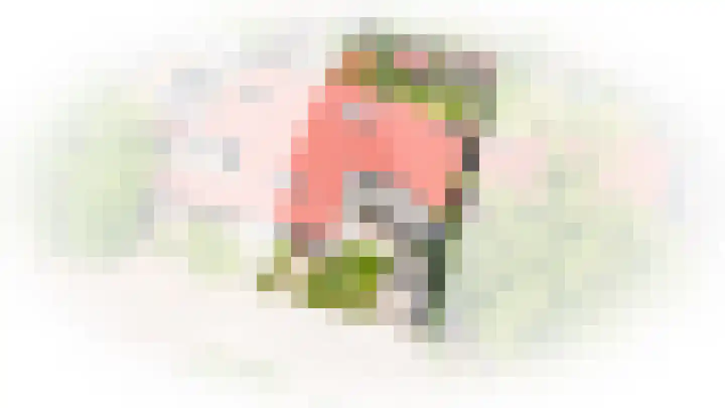 Ganzenbord 8 Beneden-Leeuwen thumbnail 43