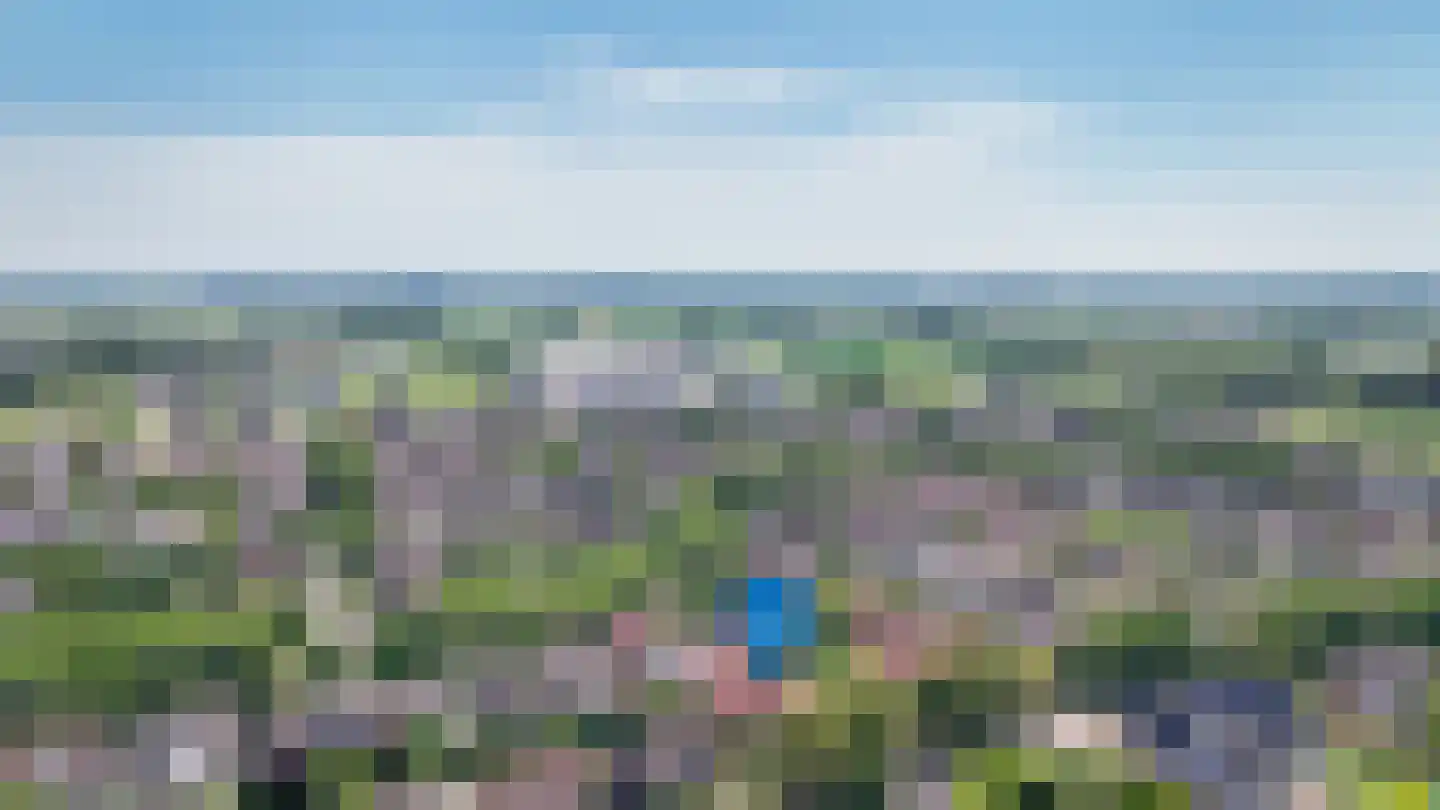 Ganzenbord 8 Beneden-Leeuwen thumbnail 44
