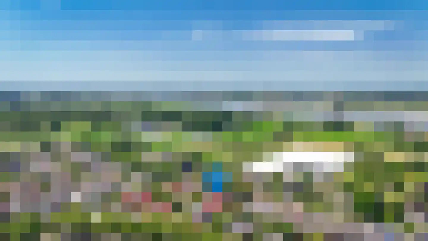 Ganzenbord 8 Beneden-Leeuwen thumbnail 45