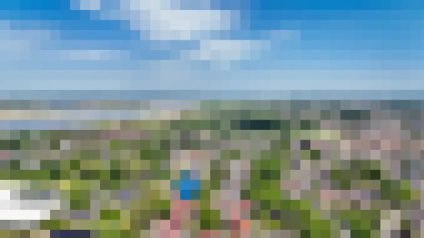 Ganzenbord 8 Beneden-Leeuwen thumbnail 46