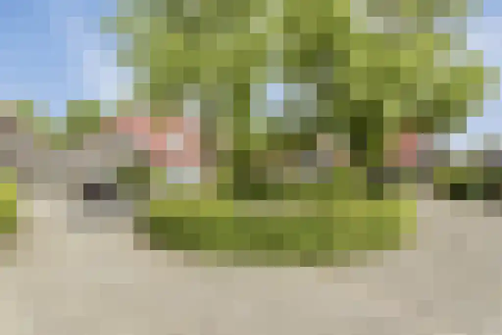Ganzenbord 8 Beneden-Leeuwen thumbnail 47