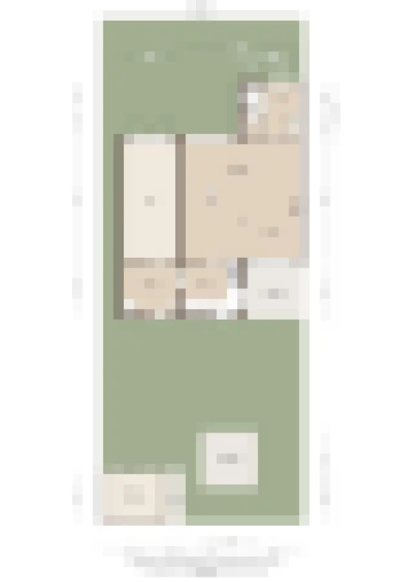 Ganzenbord 8 Beneden-Leeuwen thumbnail 53