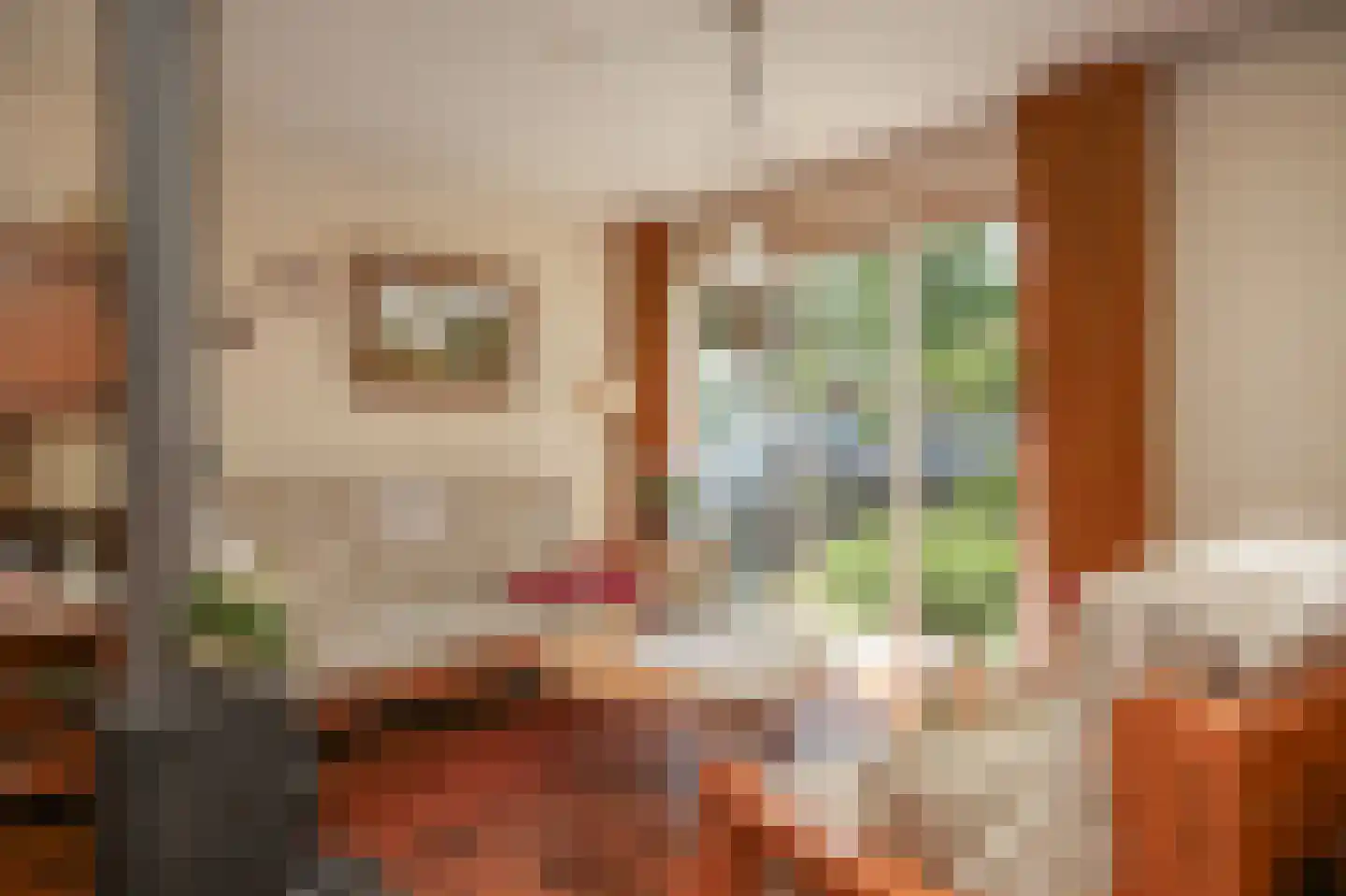 Ganzenbord 8 Beneden-Leeuwen thumbnail 6
