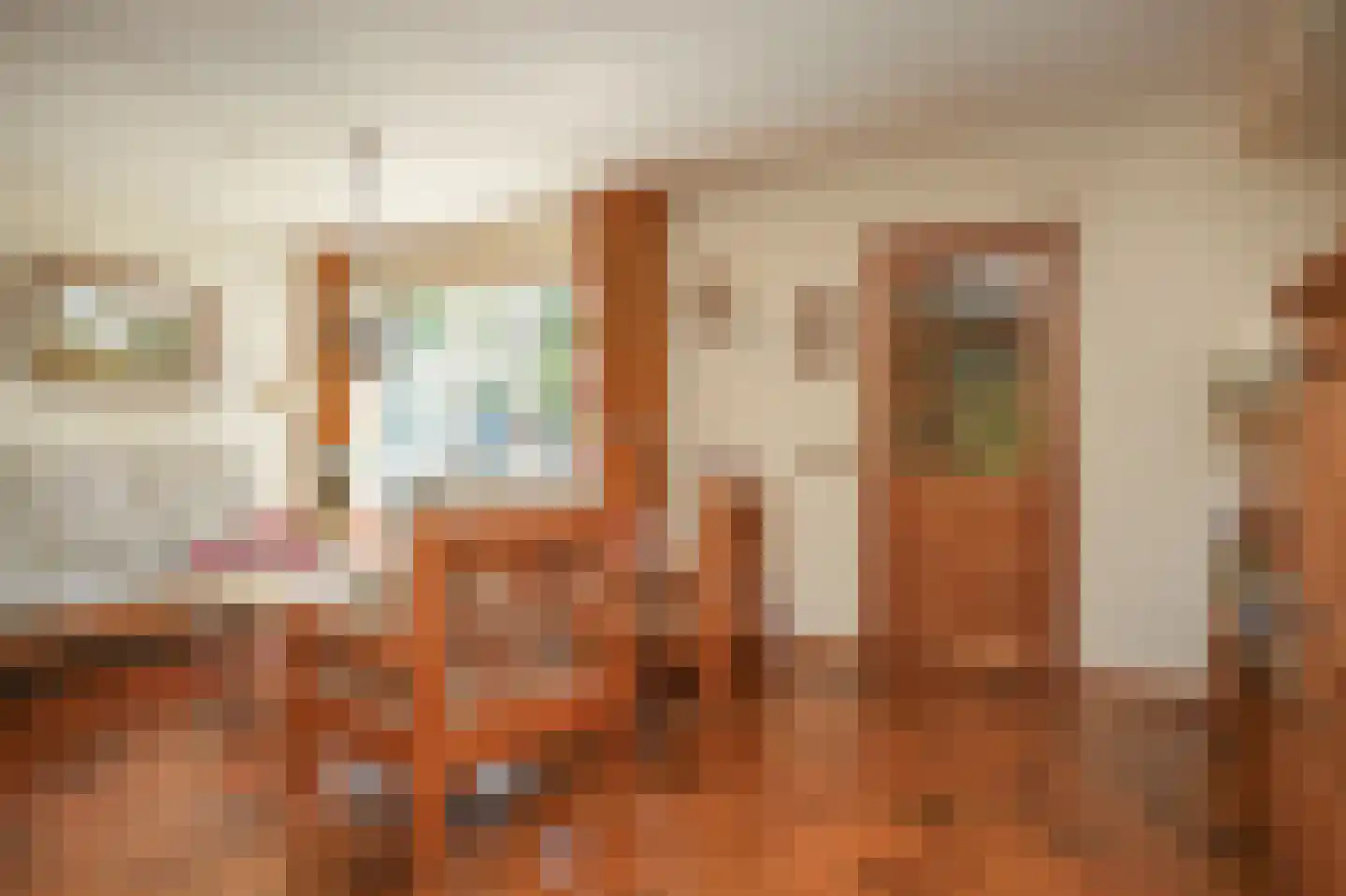 Ganzenbord 8 Beneden-Leeuwen thumbnail 7
