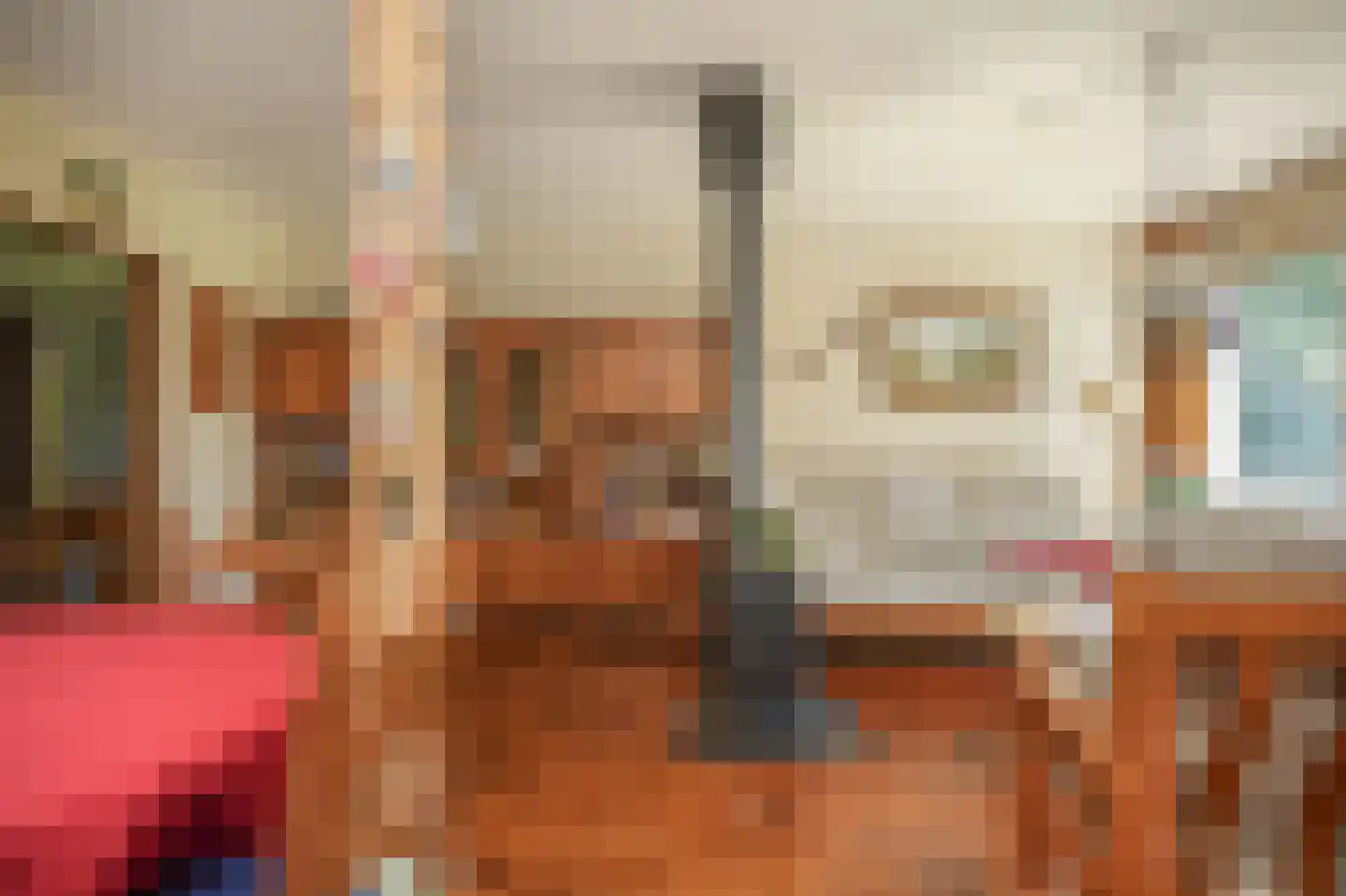 Ganzenbord 8 Beneden-Leeuwen thumbnail 8