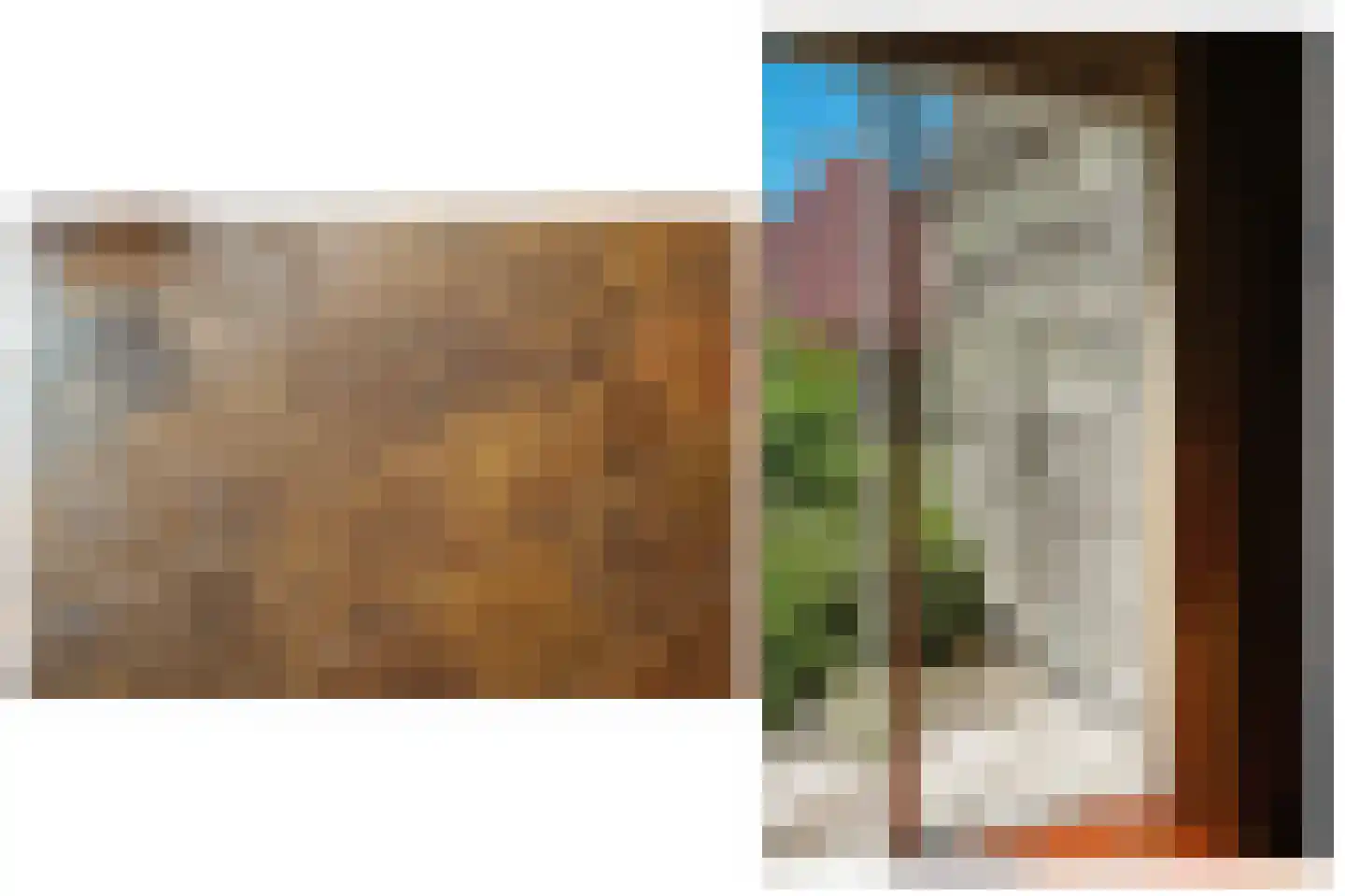 Ganzenbord 8 Beneden-Leeuwen thumbnail 9