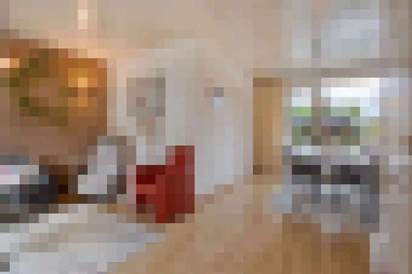 Ganzenbroek 23 Beers NB thumbnail 13