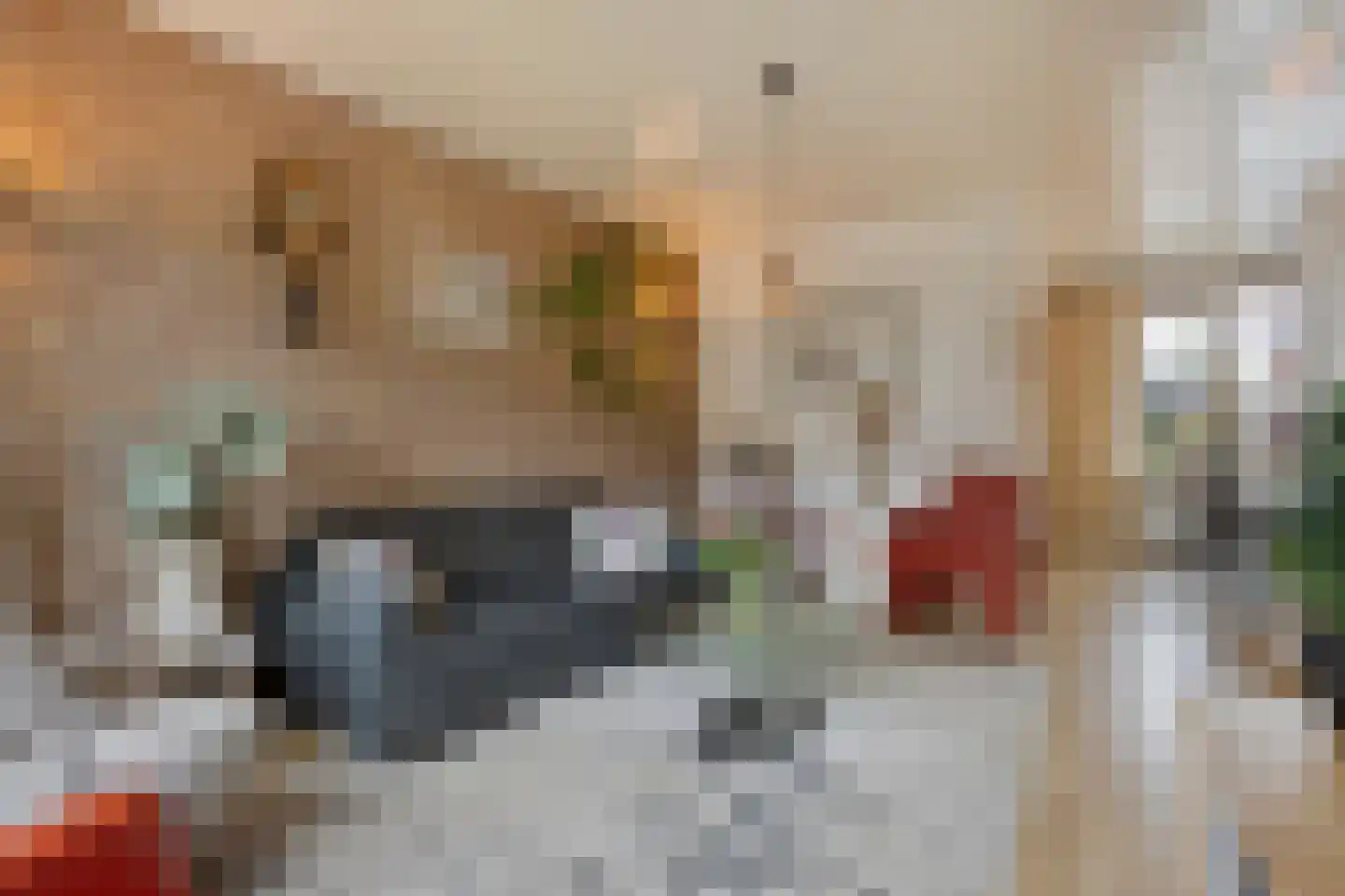 Ganzenbroek 23 Beers NB thumbnail 15