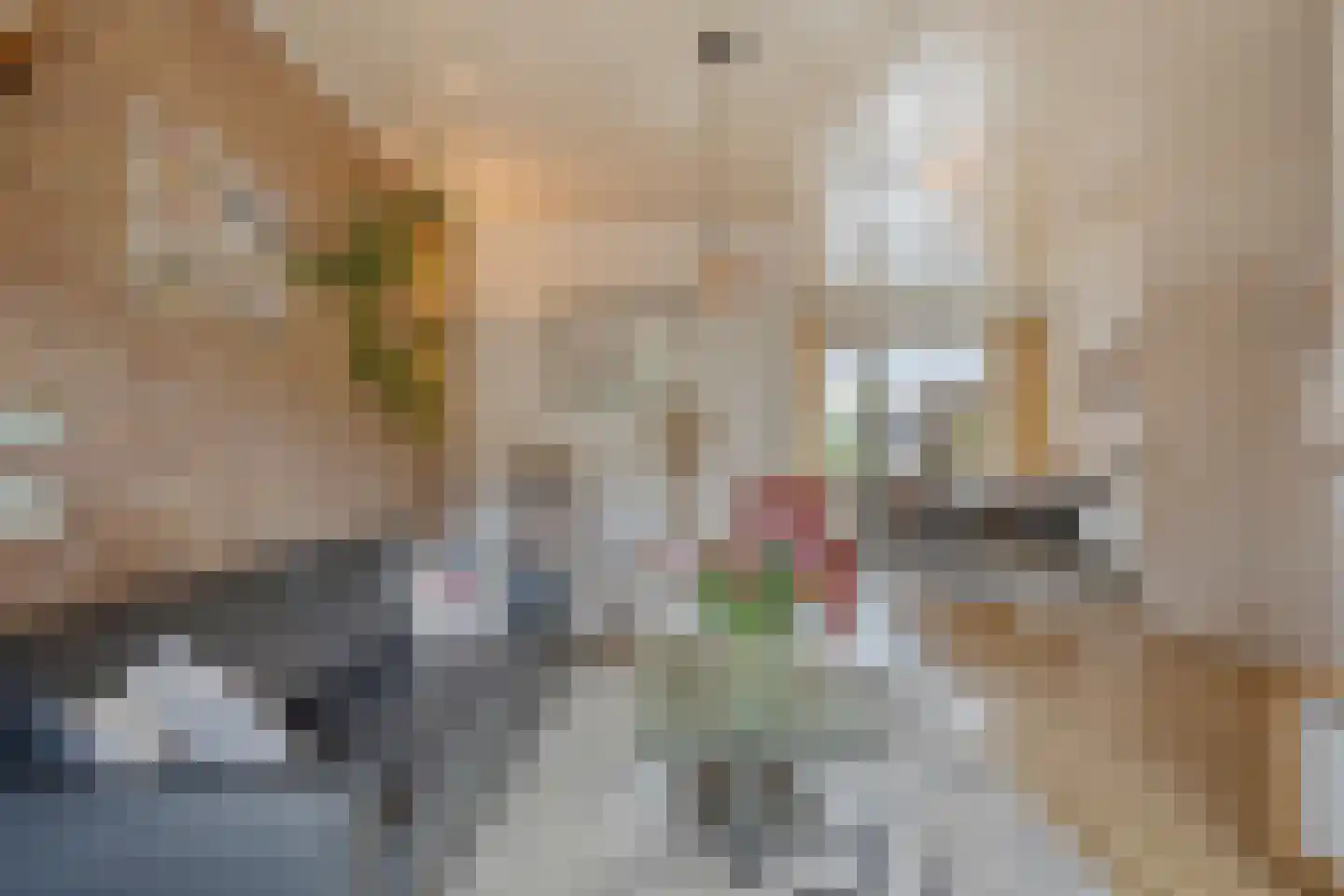 Ganzenbroek 23 Beers NB thumbnail 16