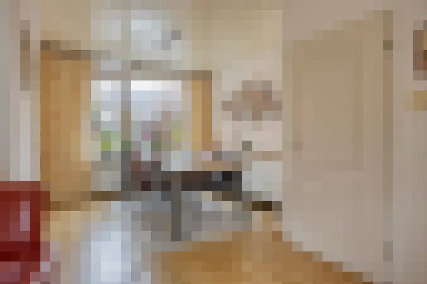 Ganzenbroek 23 Beers NB thumbnail 17