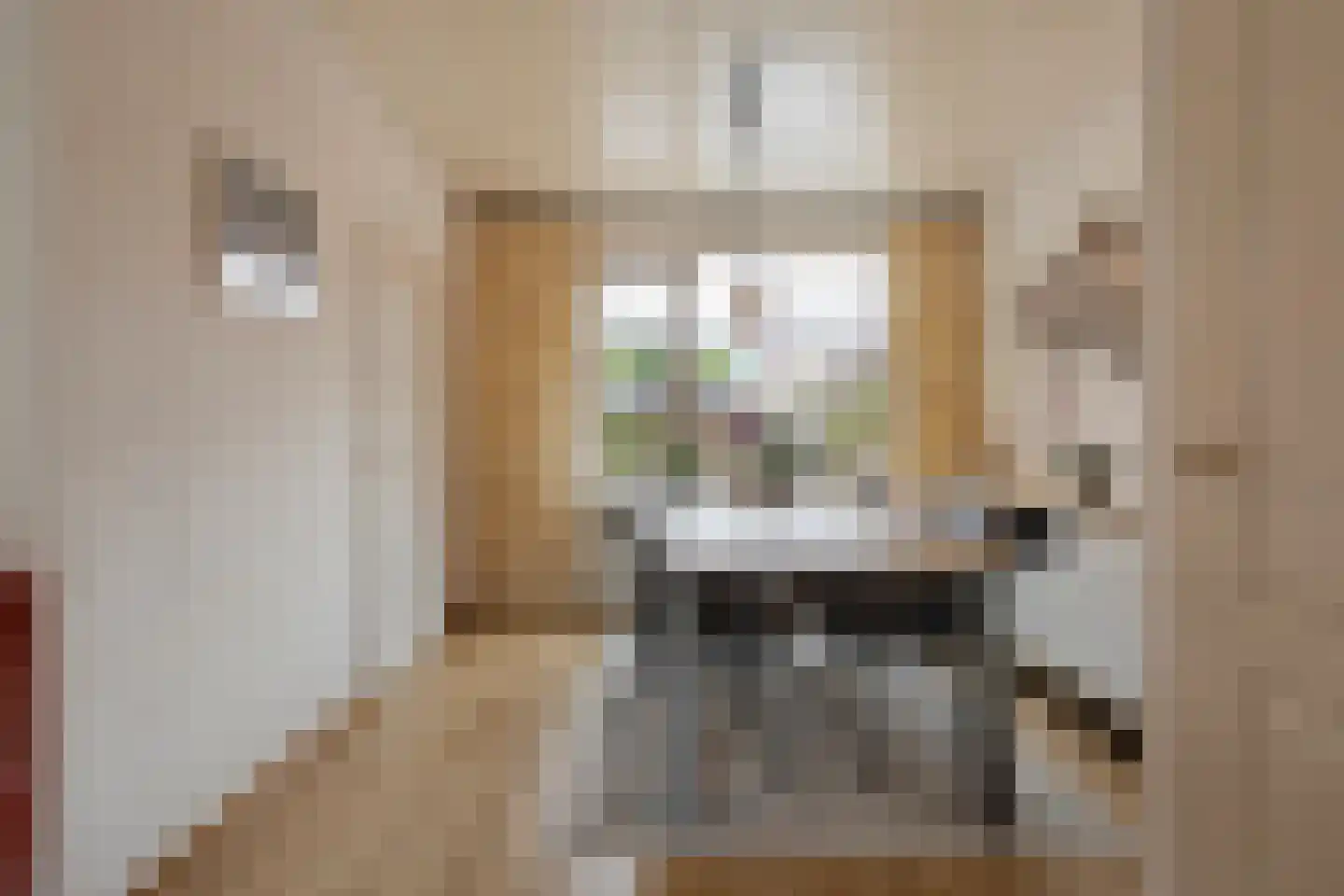 Ganzenbroek 23 Beers NB thumbnail 19