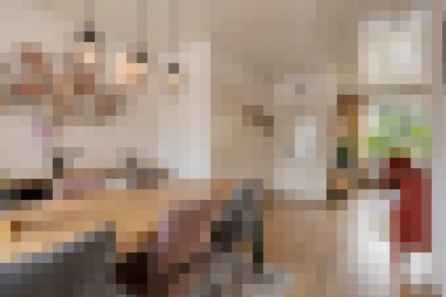 Ganzenbroek 23 Beers NB thumbnail 21