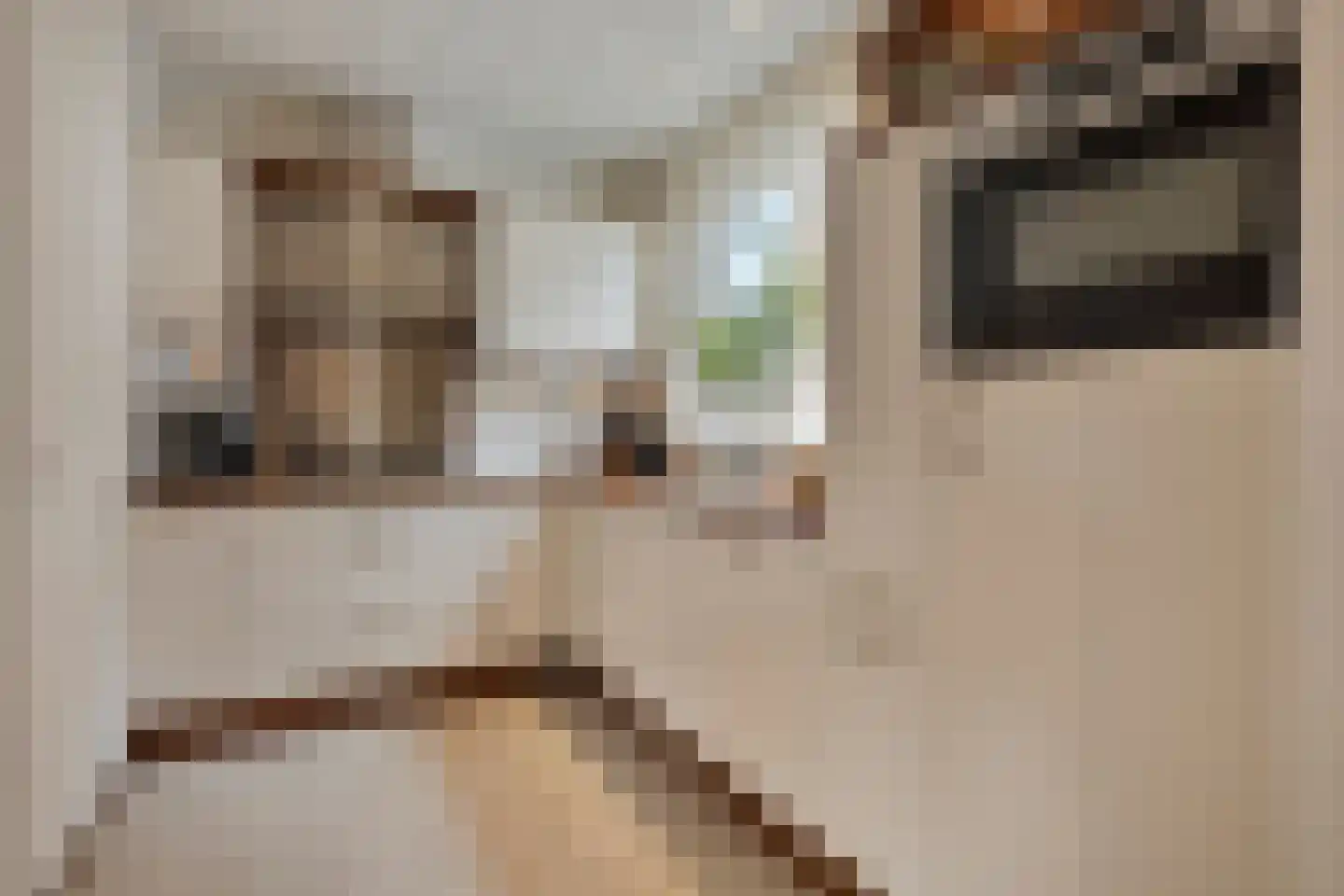 Ganzenbroek 23 Beers NB thumbnail 23