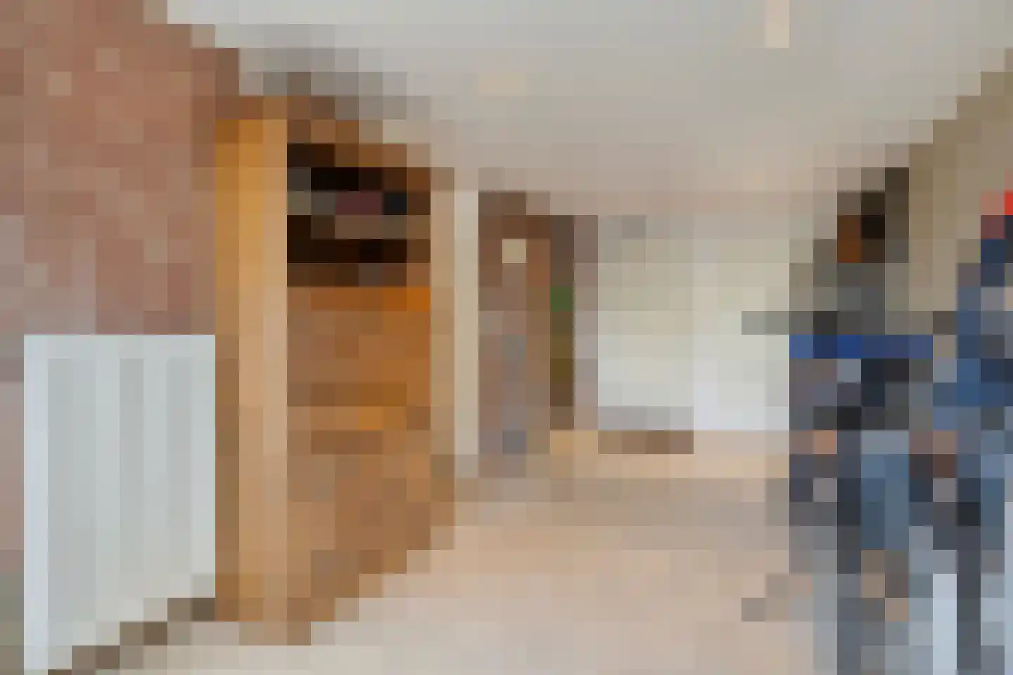 Ganzenbroek 23 Beers NB thumbnail 28