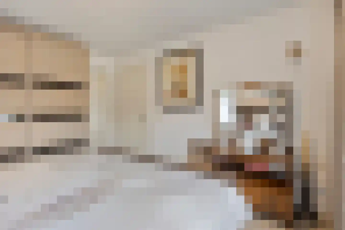 Ganzenbroek 23 Beers NB thumbnail 33