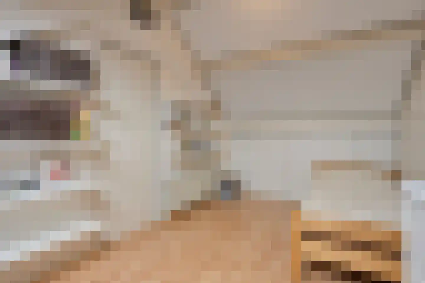 Ganzenbroek 23 Beers NB thumbnail 41