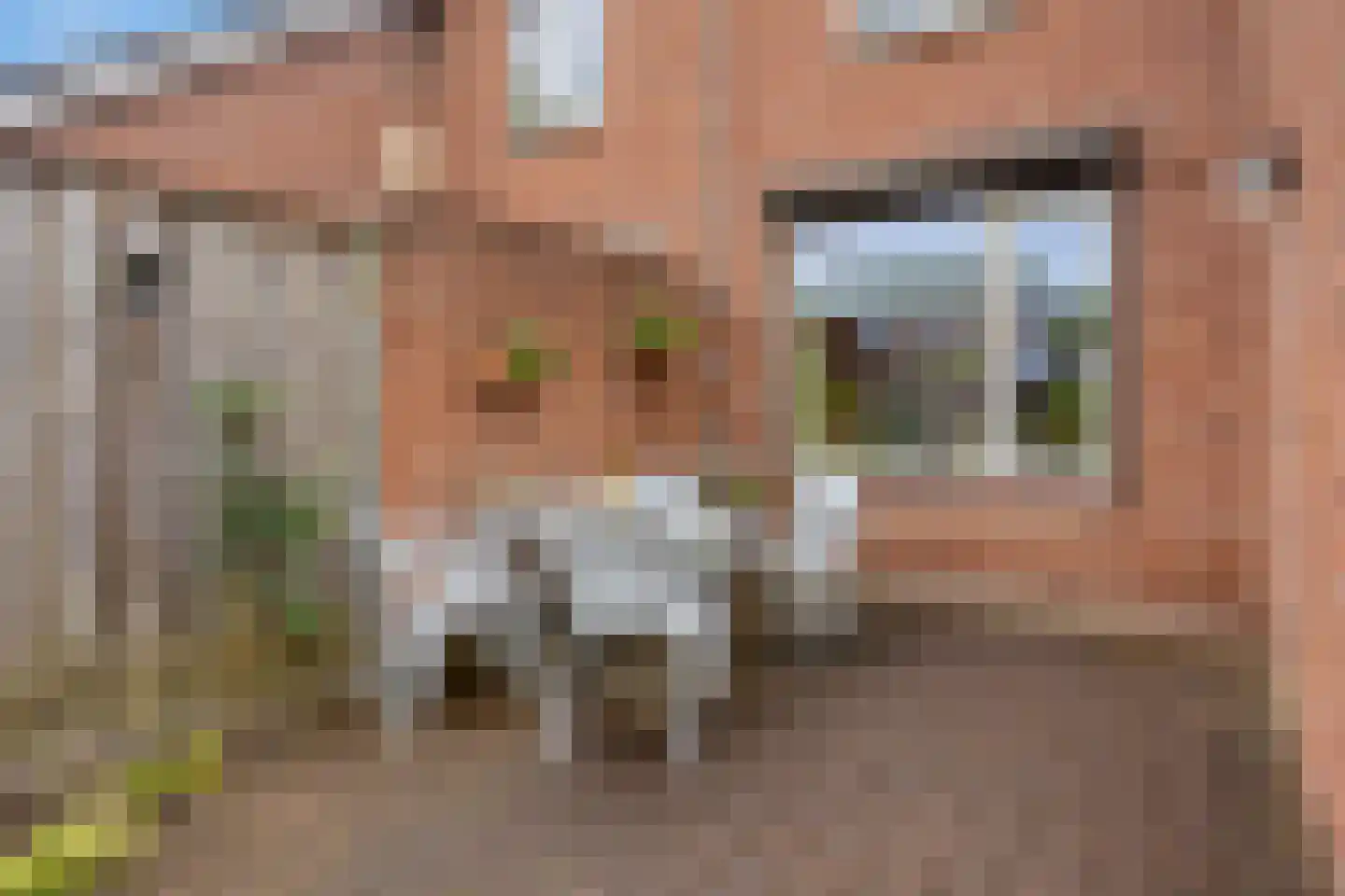 Ganzenbroek 23 Beers NB thumbnail 43