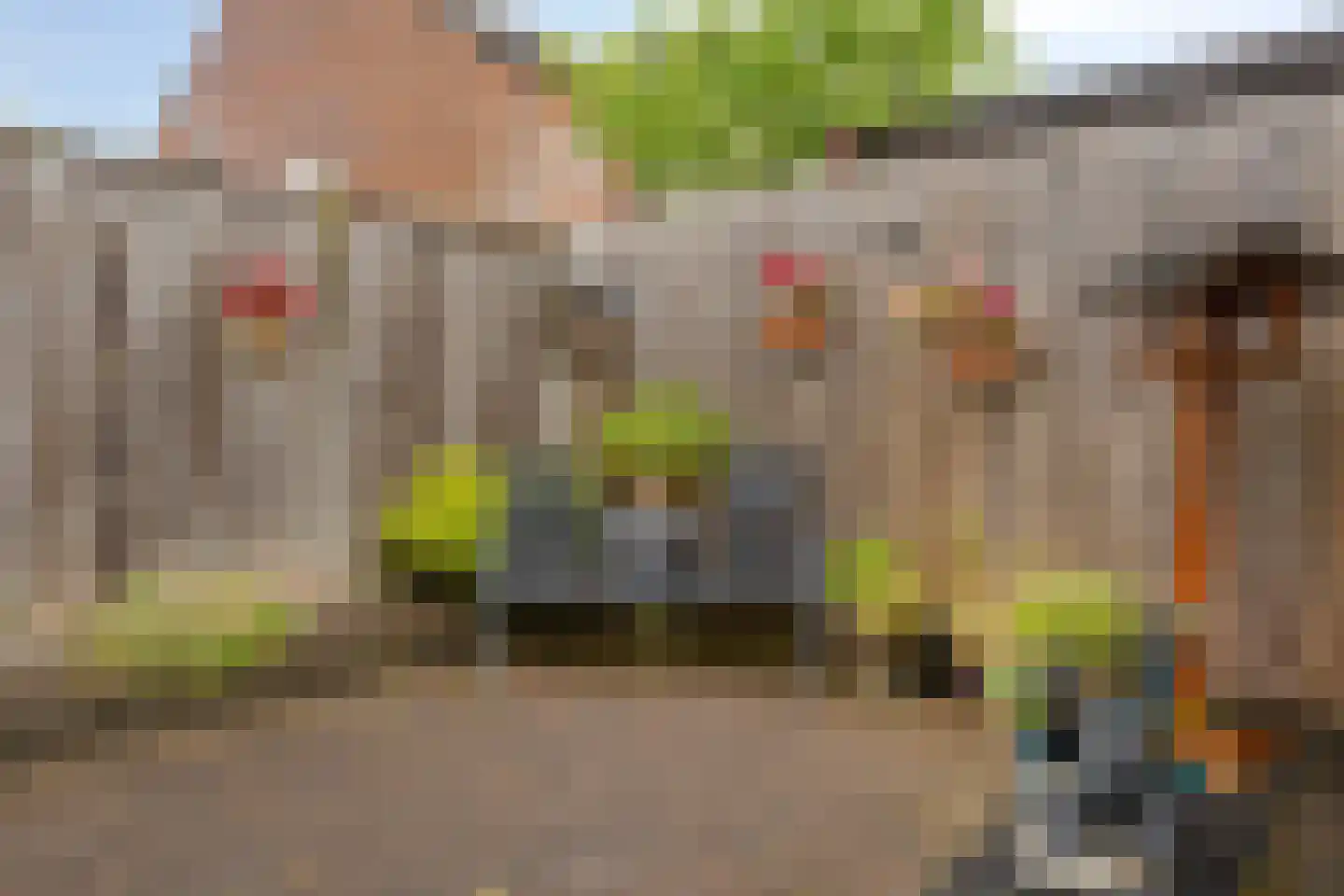 Ganzenbroek 23 Beers NB thumbnail 46