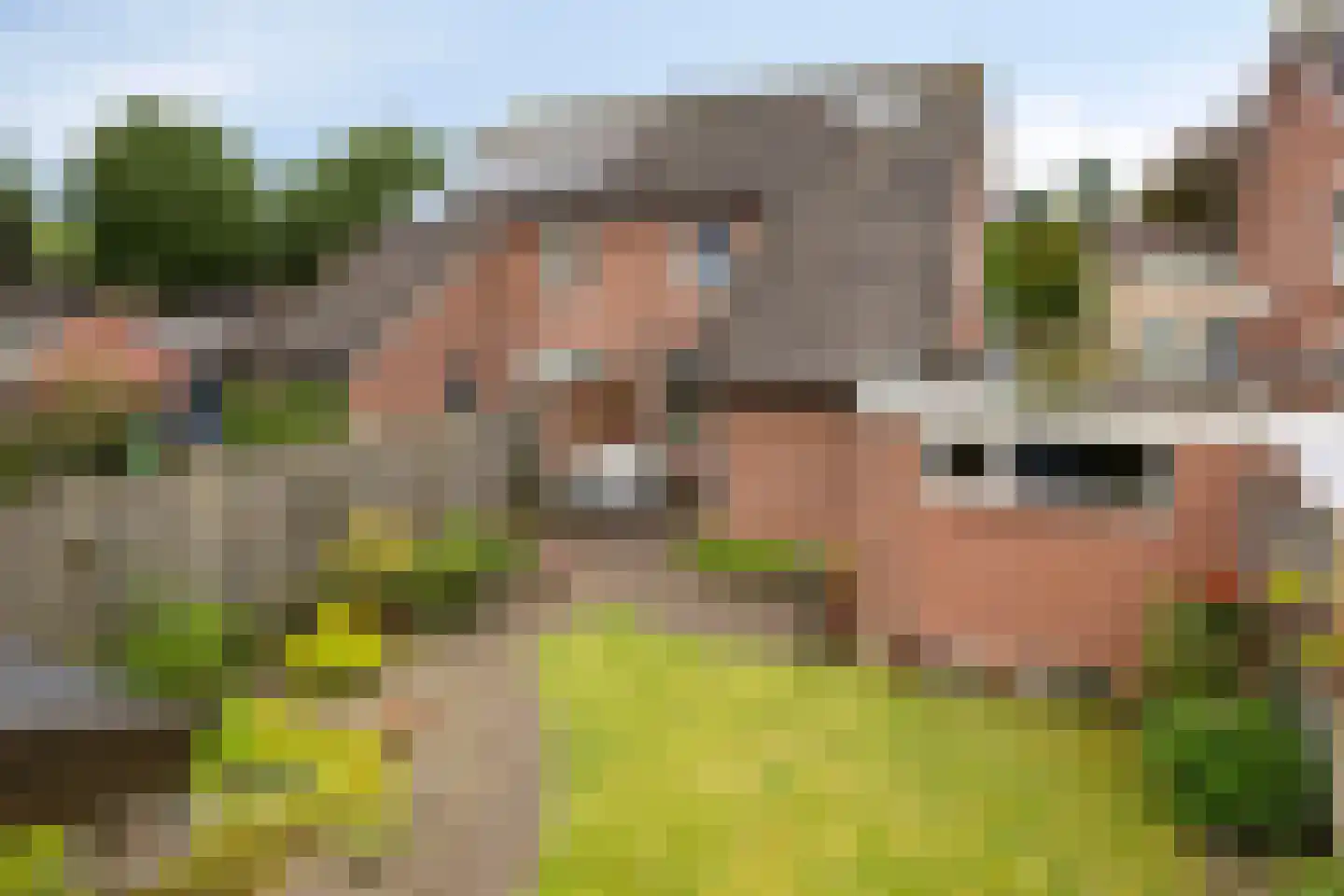 Ganzenbroek 23 Beers NB thumbnail 49
