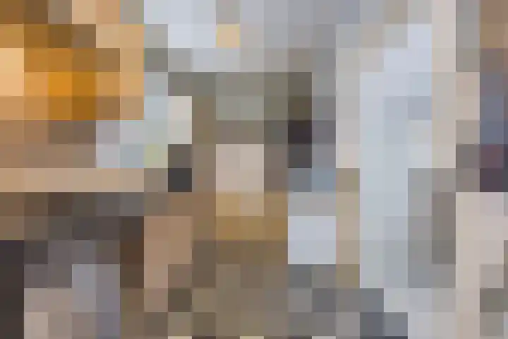 Ganzenbroek 25 Beers NB thumbnail 16