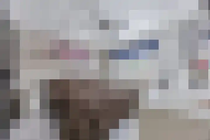 Ganzenbroek 25 Beers NB thumbnail 18