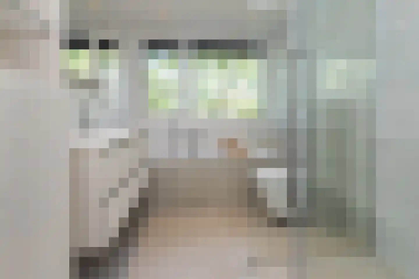 Ganzendiep 1 Uithoorn thumbnail 17