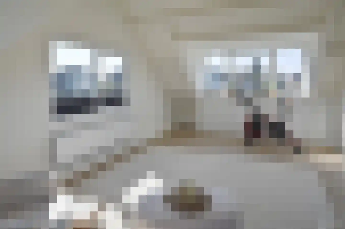 Ganzendiep 1 Uithoorn thumbnail 22