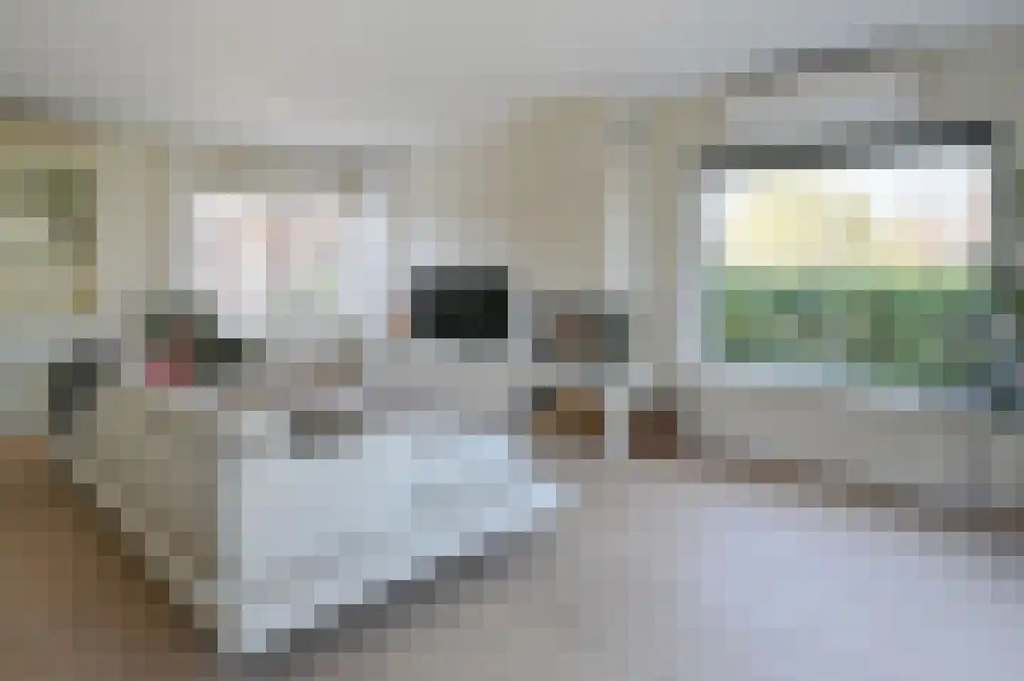 Ganzendiep 1 Uithoorn thumbnail 6
