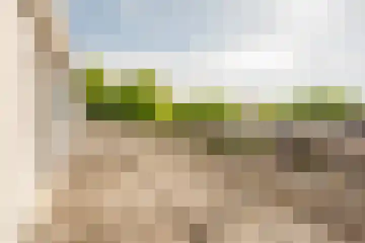 Ganzendiep 19 Lelystad thumbnail 27