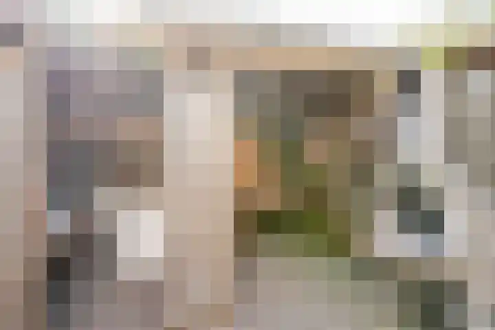 Ganzendiep 19 Lelystad thumbnail 33