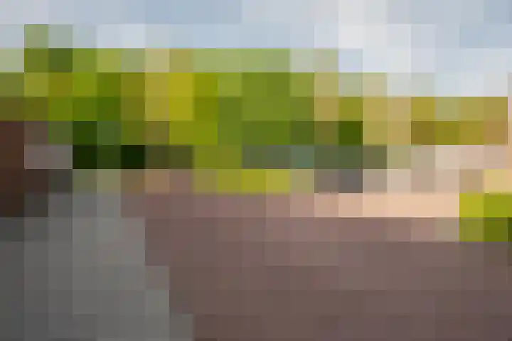 Ganzendiep 19 Lelystad thumbnail 36
