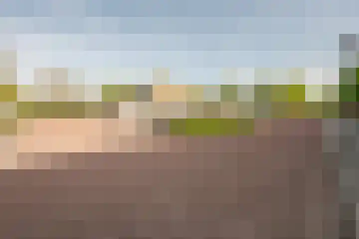Ganzendiep 19 Lelystad thumbnail 37