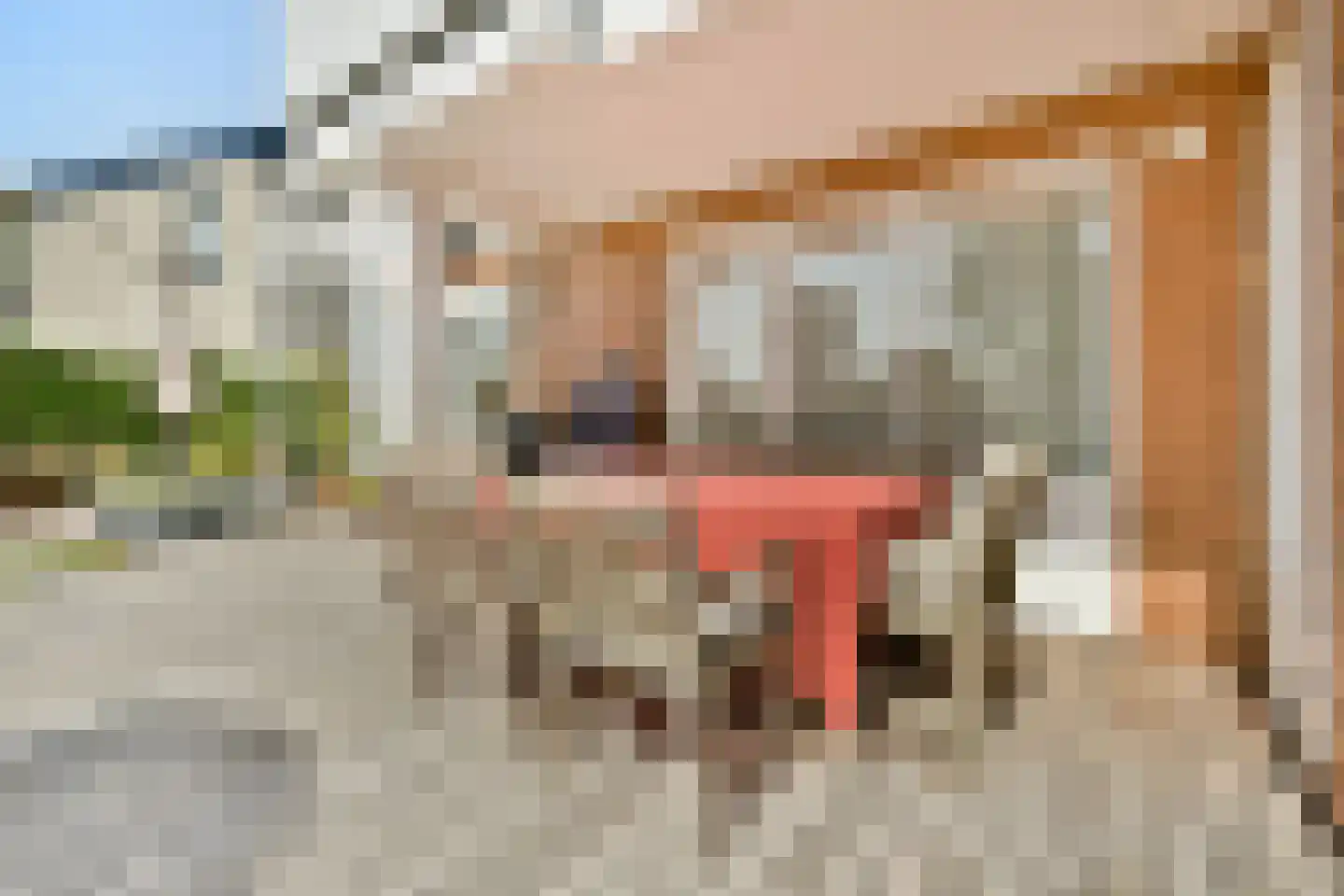 Ganzendiep 23 Uithoorn thumbnail 12