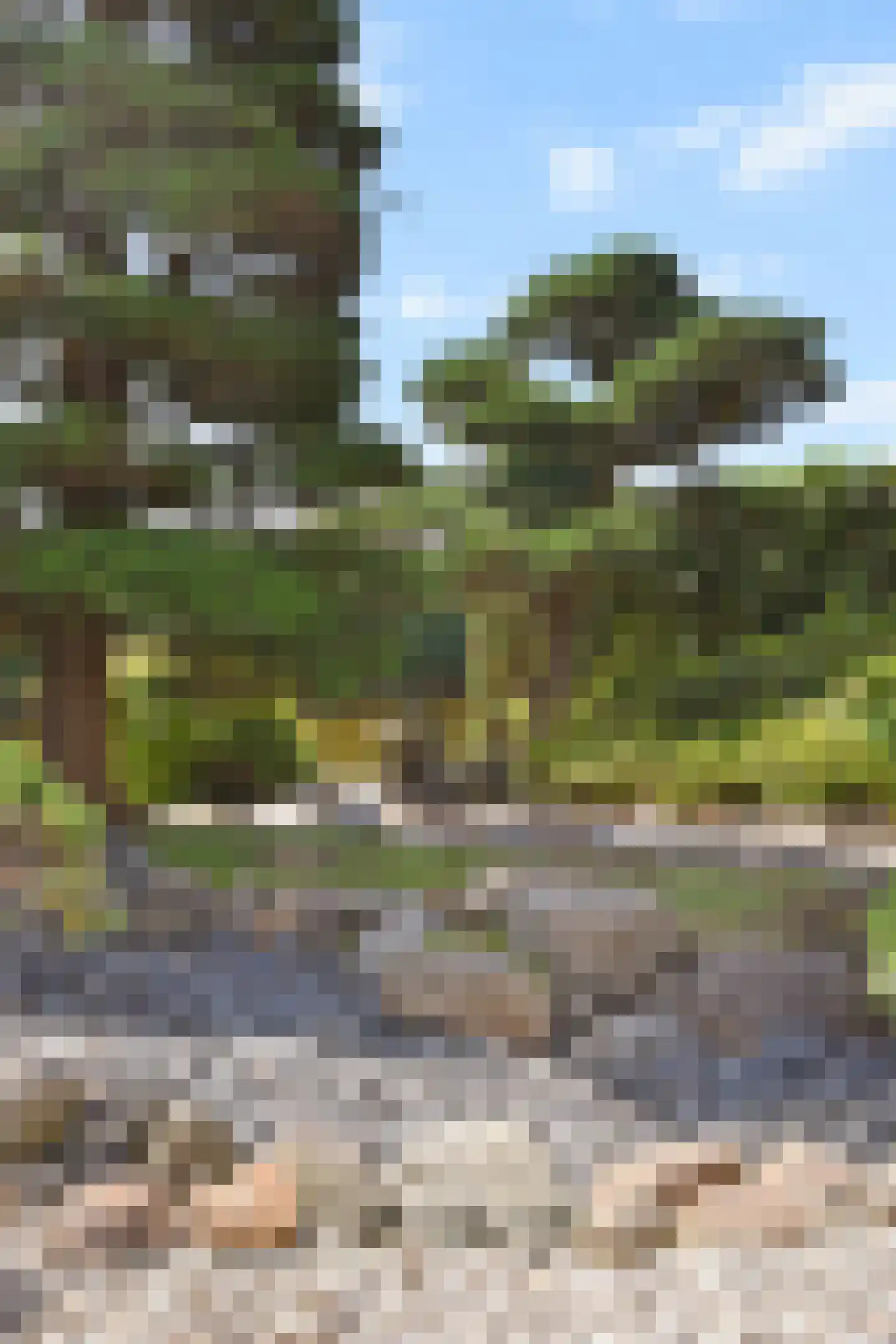Ganzendiep 23 Uithoorn thumbnail 15