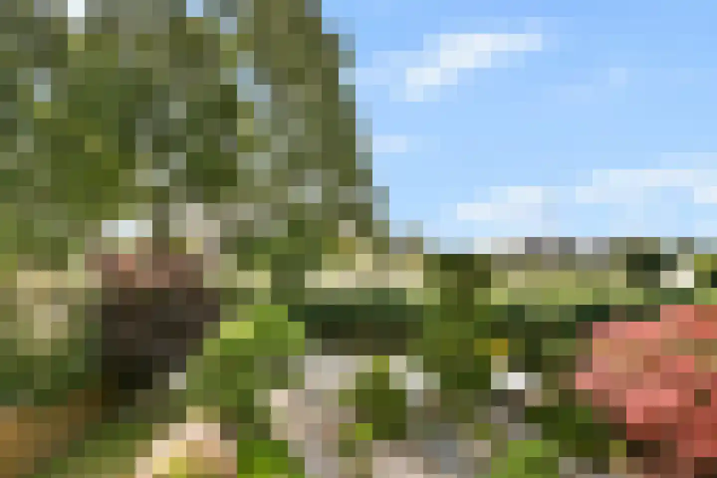 Ganzendiep 23 Uithoorn thumbnail 22