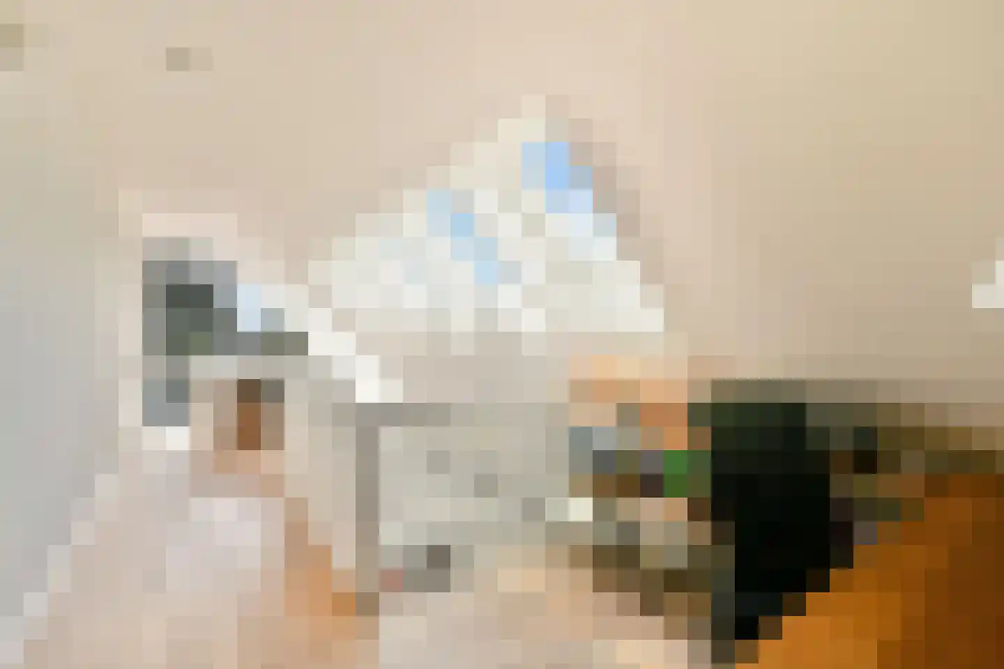 Ganzendiep 23 Uithoorn thumbnail 28