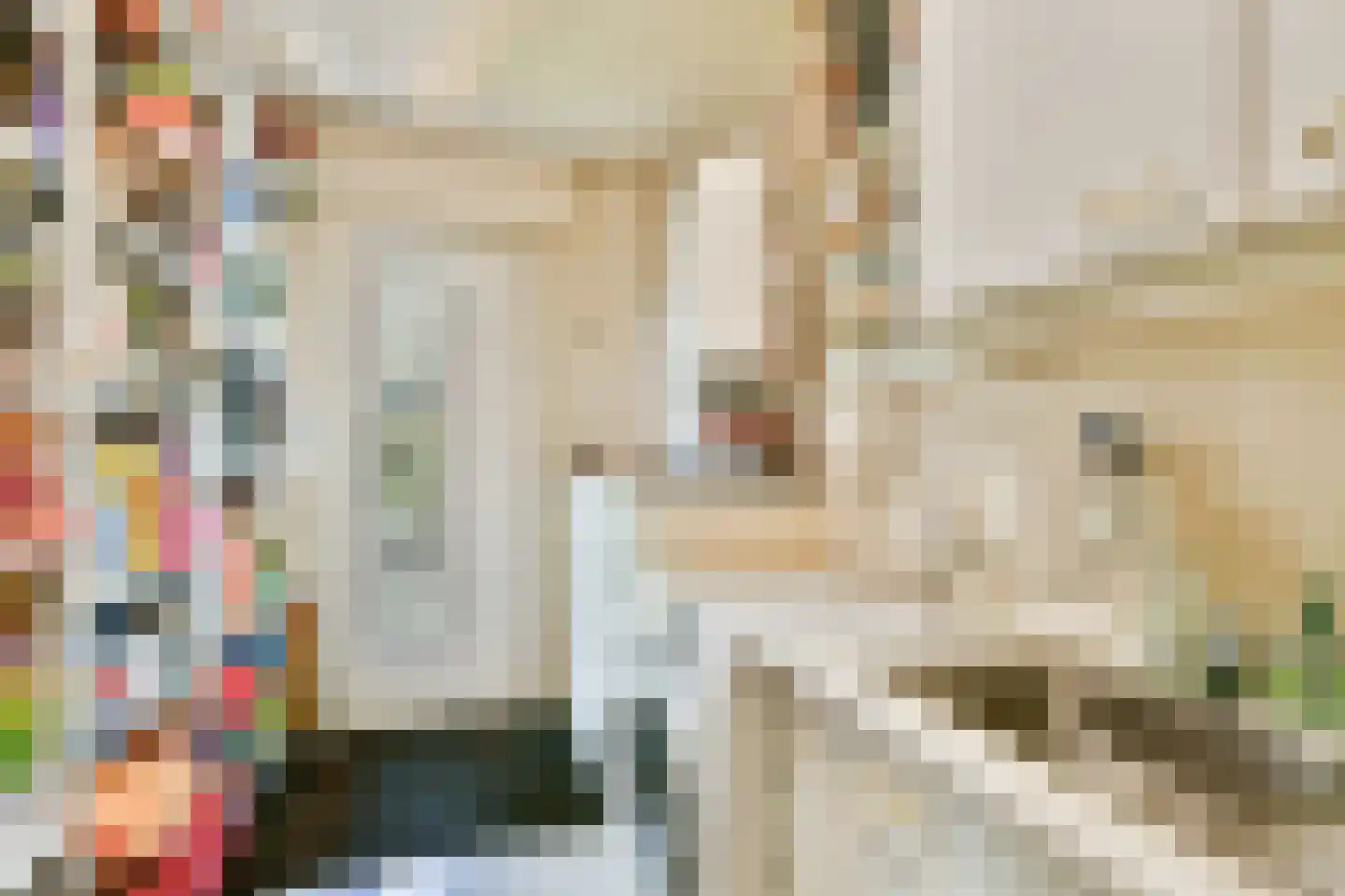 Ganzendiep 23 Uithoorn thumbnail 29